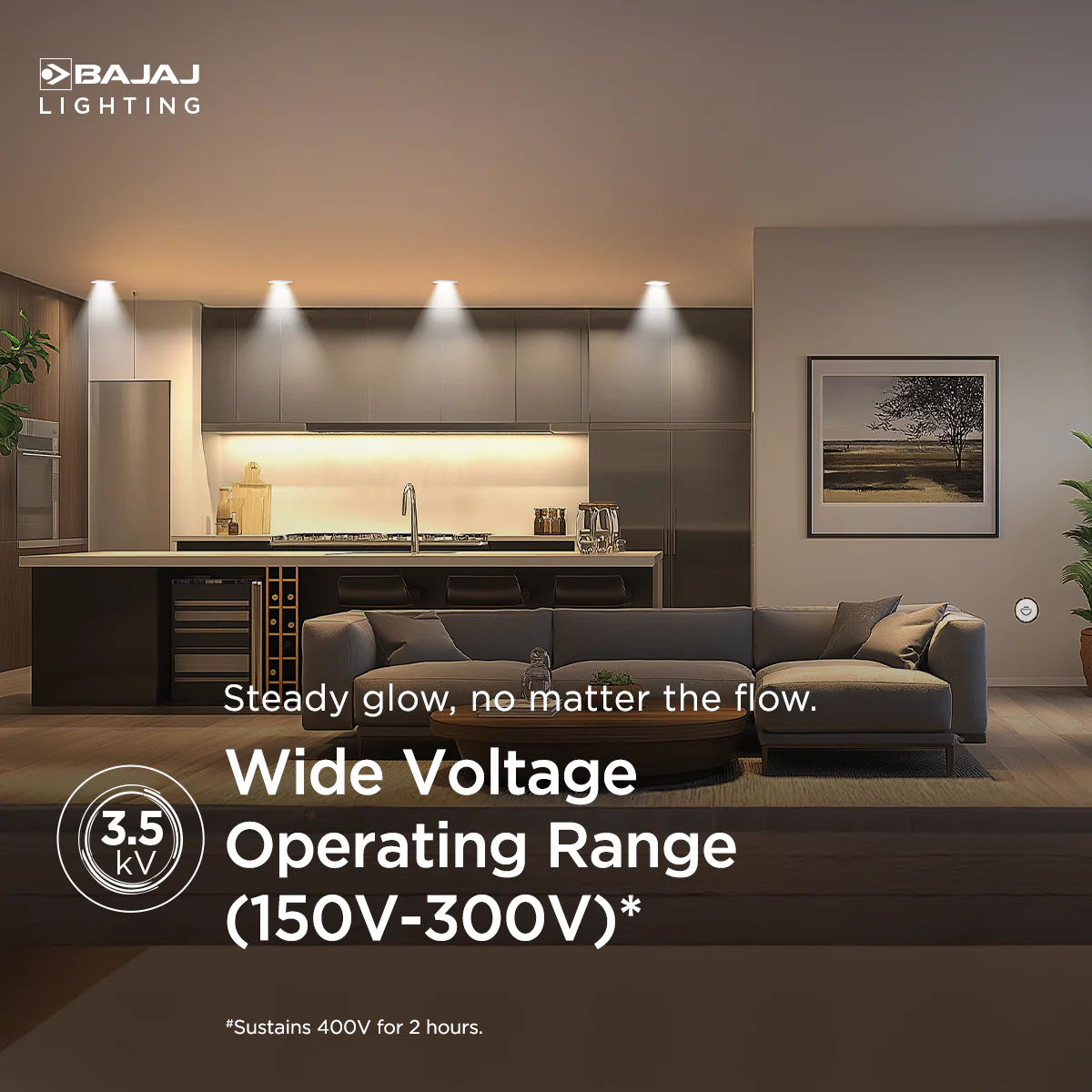 Product image 101
